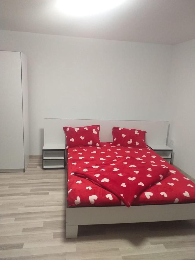 Casa De Vacanta Maga دوبوفا المظهر الخارجي الصورة